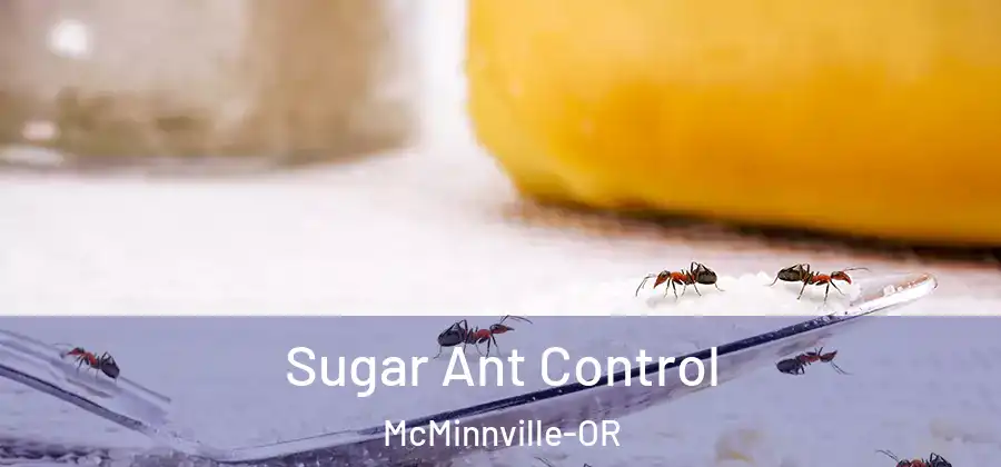 Sugar Ant Control McMinnville-OR