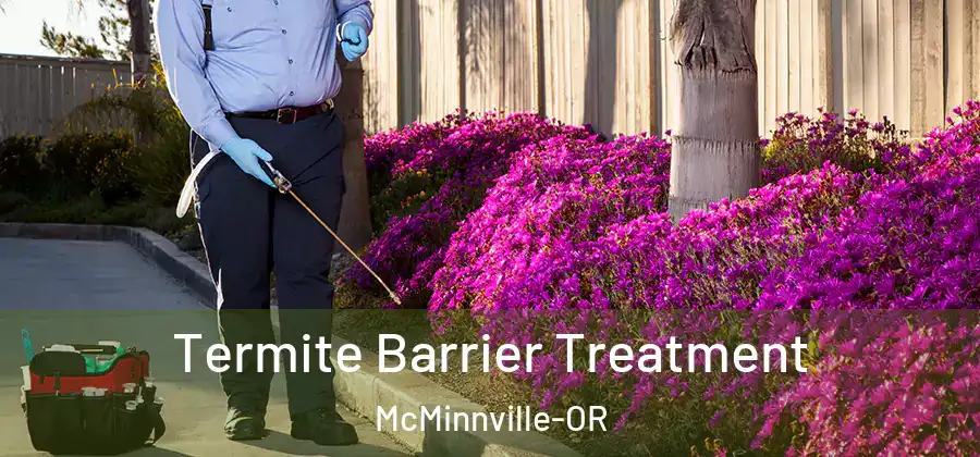 Termite Barrier Treatment McMinnville-OR