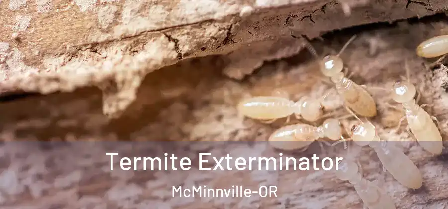 Termite Exterminator McMinnville-OR