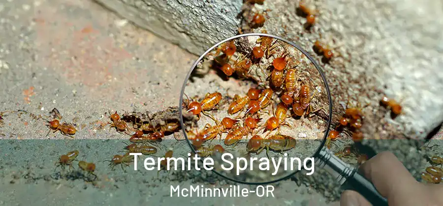 Termite Spraying McMinnville-OR