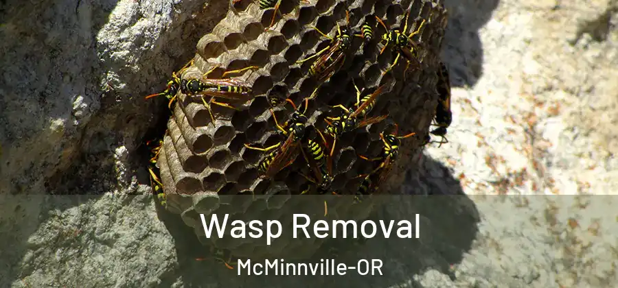 Wasp Removal McMinnville-OR