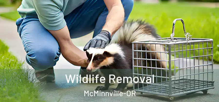 Wildlife Removal McMinnville-OR