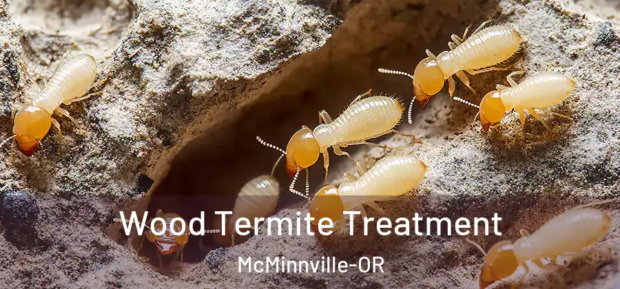 Wood Termite Treatment McMinnville-OR