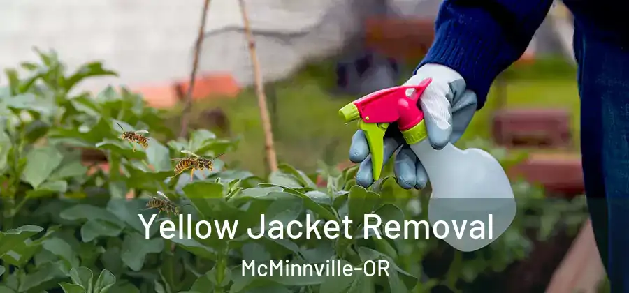  Yellow Jacket Removal McMinnville-OR